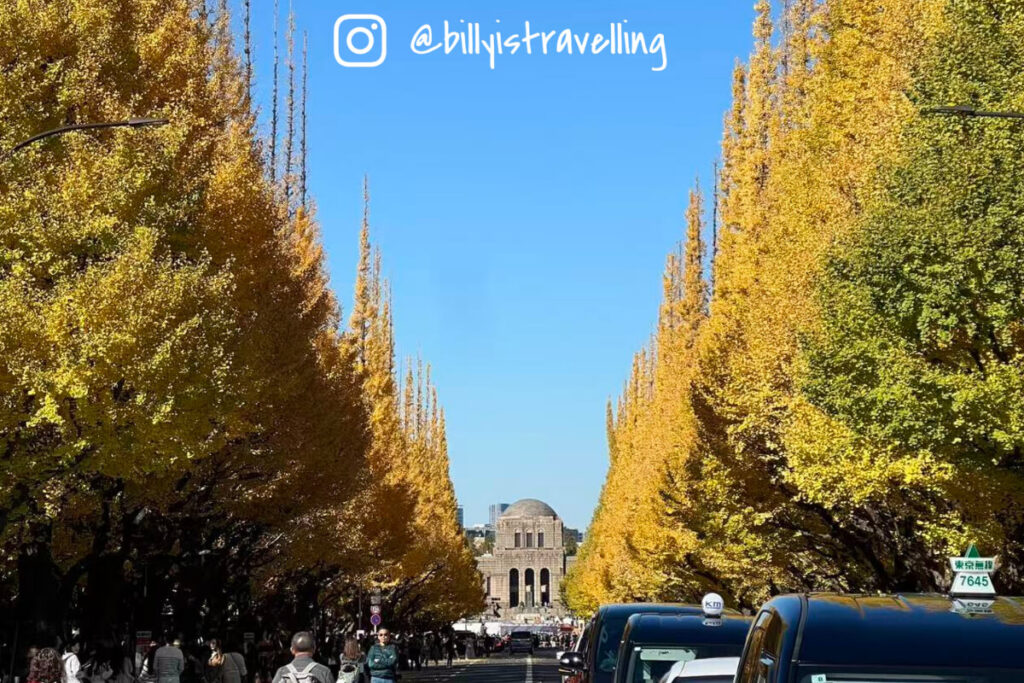 明治神宮外苑整齊銀杏樹形成的金色隧道