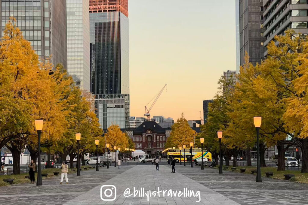 行幸通兩側金黃銀杏與東京車站紅磚建築