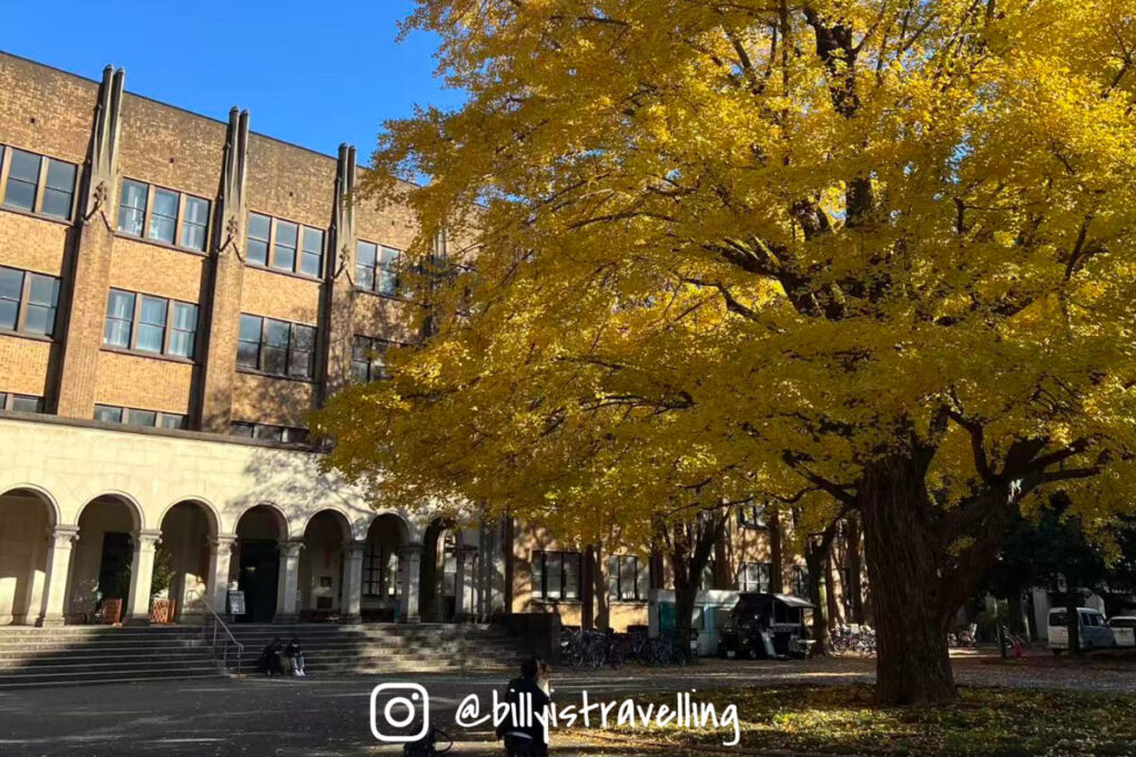 東京大學本鄉校區銀杏大道與校園古典建築