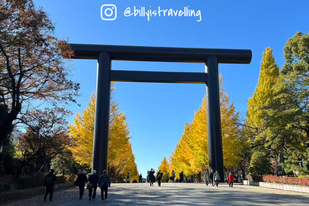 靖國神社參道兩旁金黃銀杏與大鳥居
