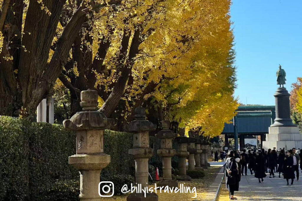 九段下附近靖國神社銀杏大道的黃葉景致