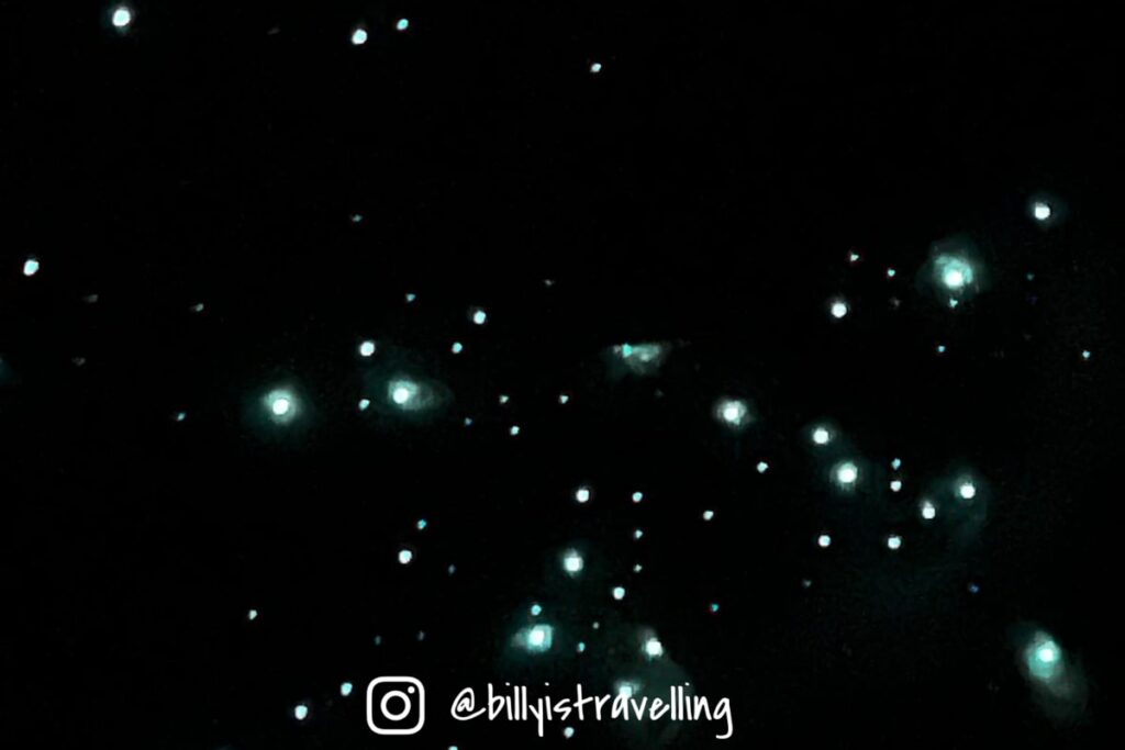 澳洲黃金海岸春溪國家公園藍光螢火蟲夜遊體驗