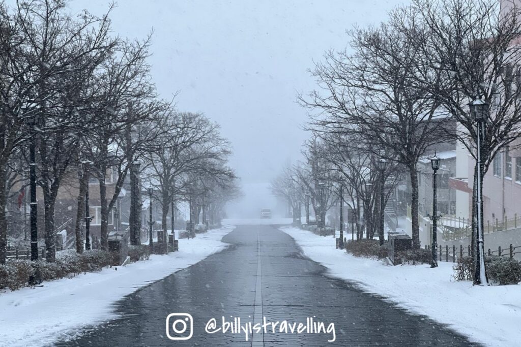積雪中的八幡坂坡道,展現函館特有的歐風街景。