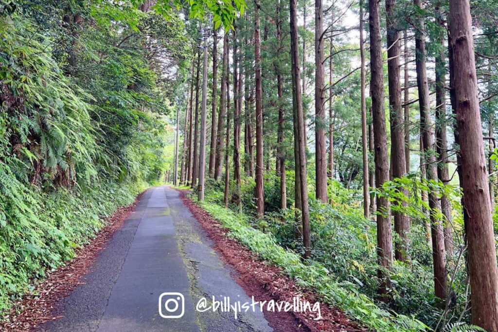 踩單車至沉下橋的路