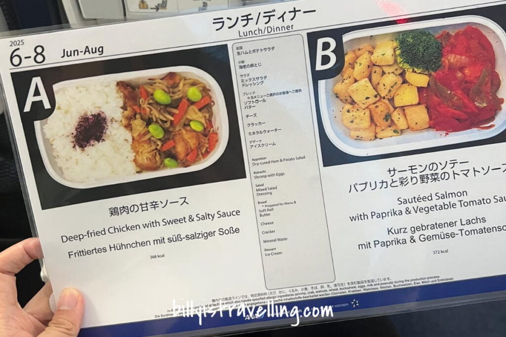 nh218 economy class menu