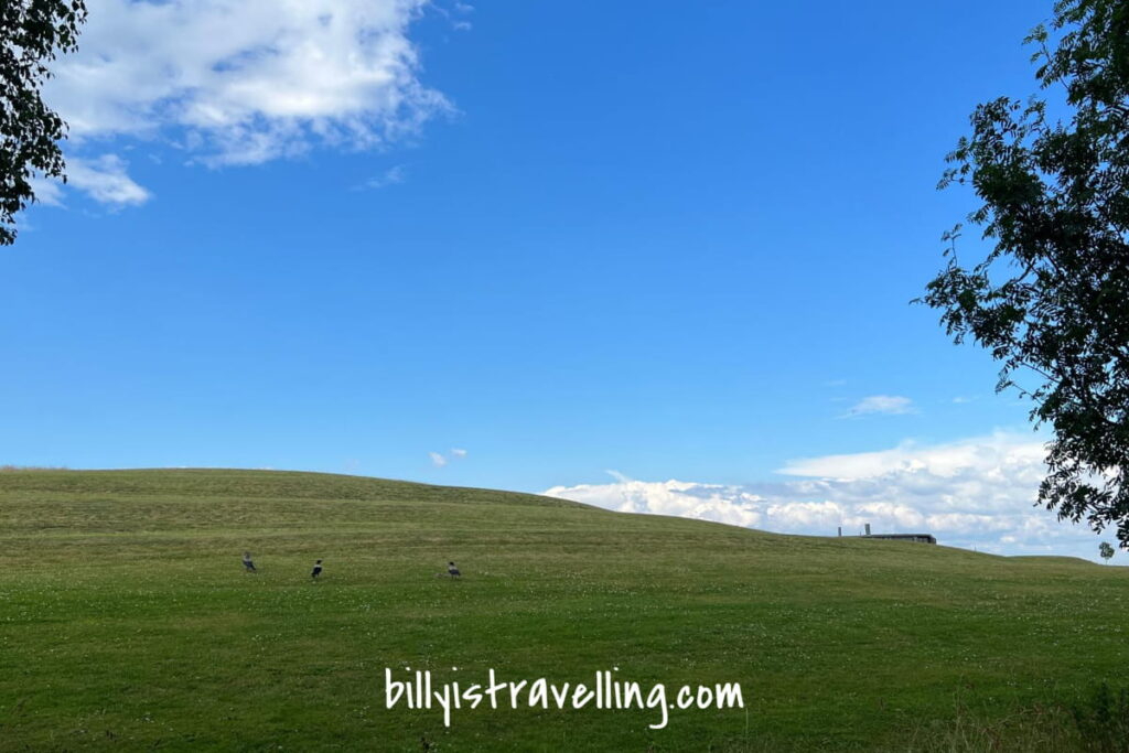 a random view in copenhagen looks like windows xp wallpaper