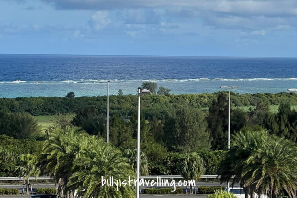 ishigaki airport view