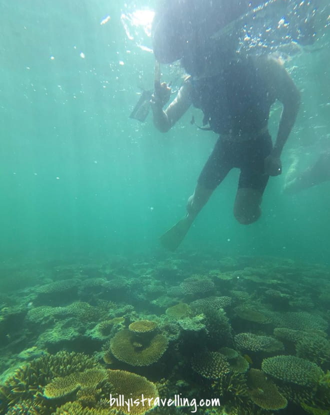 在珊瑚礁上浮潛