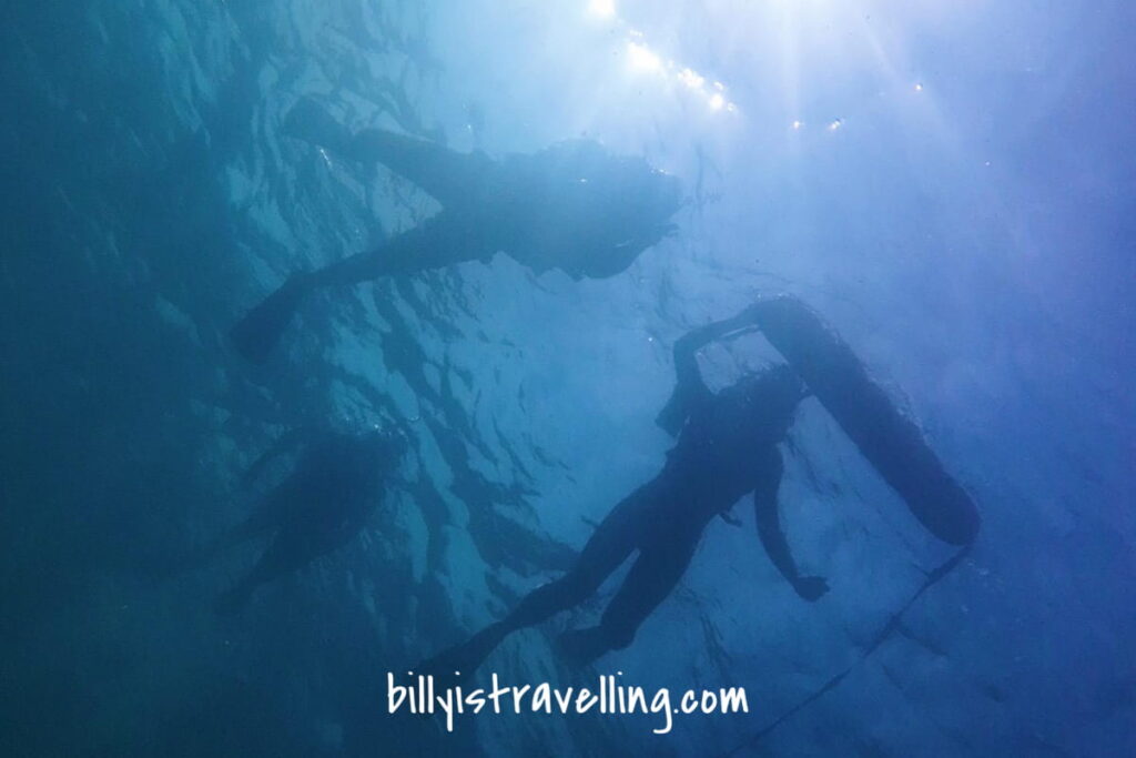 石垣島附近海域浮潛