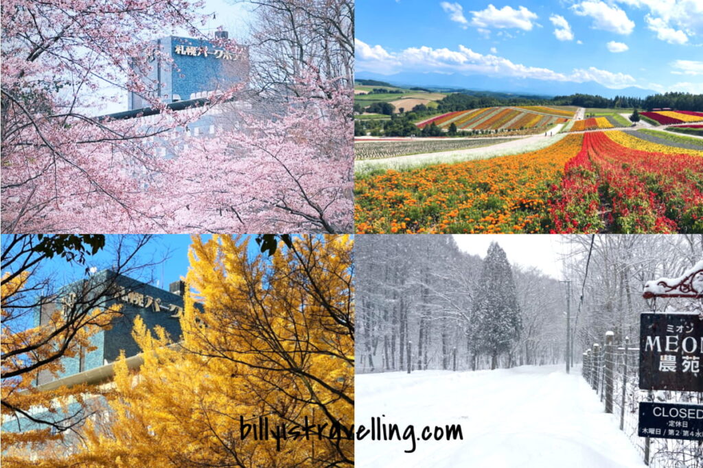 北海道四季景色