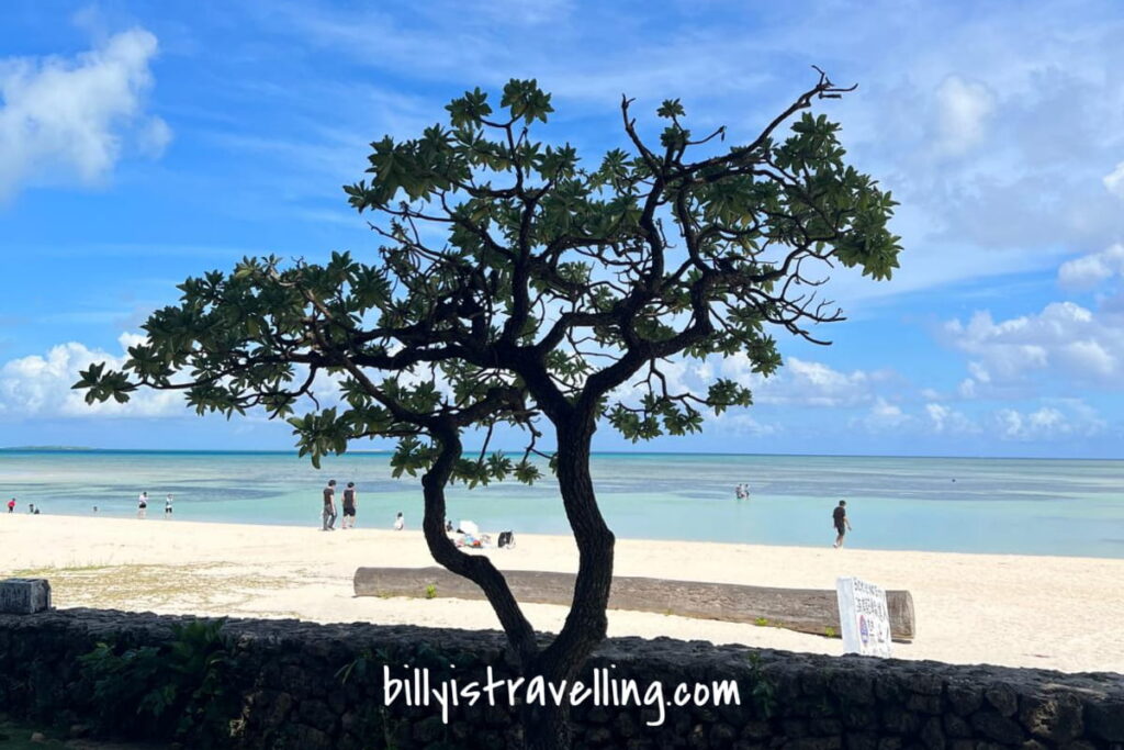 竹富島上的海灘