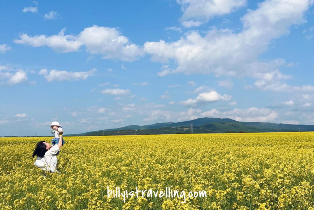 hokkaido takikawa canola flower festival