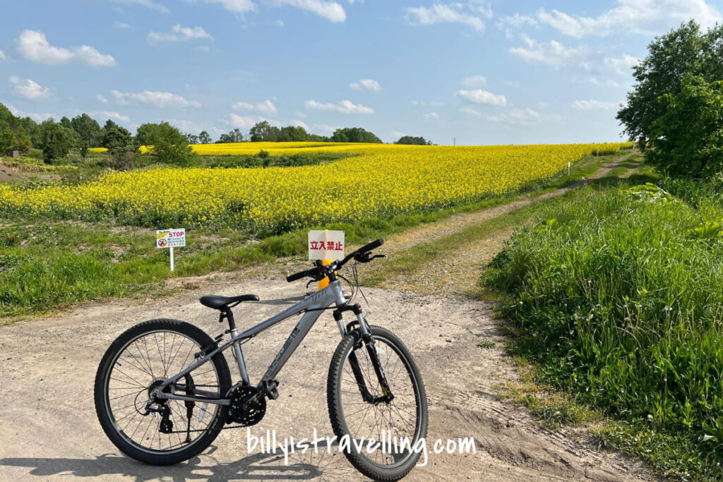 hokkaido takikawa canola flower festival bicycle visiting