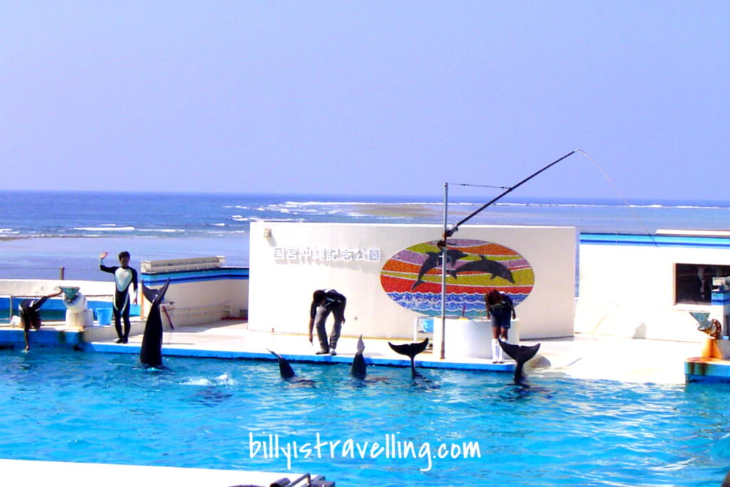 okinawa churaumi aquarium